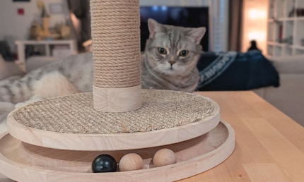 Cela fait longtemps que je n’ai pas vu un arbre à chat aussi stylé. Bien joué, Design by Lotte.