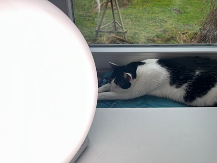 Comme au solarium...