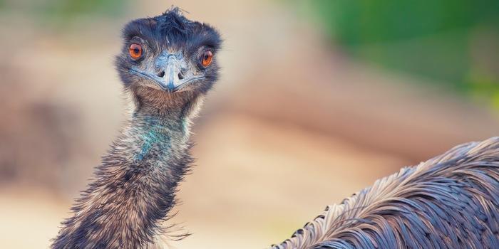 Shutterstock / Kiri Photography