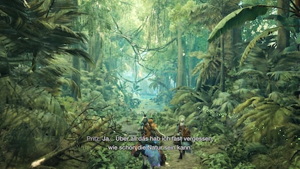  Grafisch überzeugt «Monster Hunter Wilds» vor allem mit wunderschönen Gebieten und riesigen Monstern.