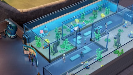 J'ai une liberté presque totale en ce qui concerne la conception et la taille des aquariums.