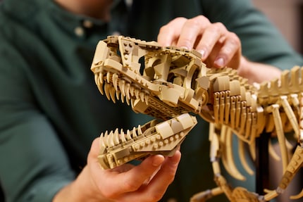 La mâchoire du T-Rex peut être ouverte.