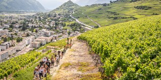 Gagnez vos billets pour la « Balade des Grands Murs » de la Maison Gilliard