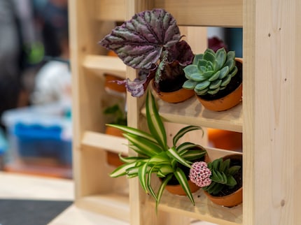 ... oder praktische Blumengestelle aus Holz. 