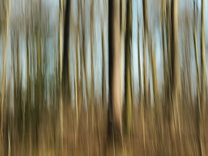Ein eingebauter optischer ND-Filter ermöglicht Langzeit-Belichtungen bei Tageslicht. Ohne Bildstabilisator kann ich das aus der Hand aber höchstens für kreative Unschärfen nutzen.