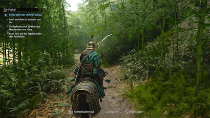 Regardez cette forêt de bambous ! Regardez ! Lui ! A toi ! Regarde!