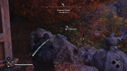 Collecter toujours les mêmes objets dans les sanctuaires devient vite lassant.