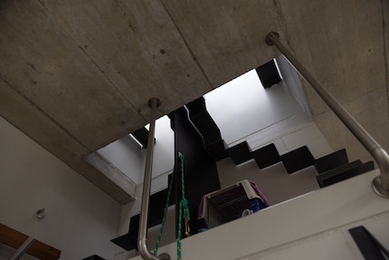 Stairway to heaven? Fast. Die Katzenleiter aufs Dach.