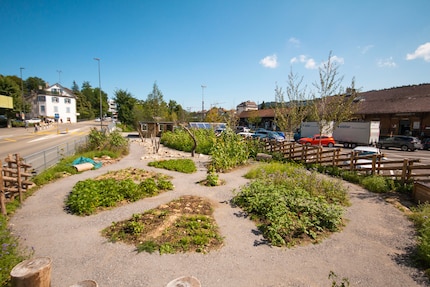 Avec le parterre rond, Kathrin garde une vue d’ensemble de la rotation des cultures.