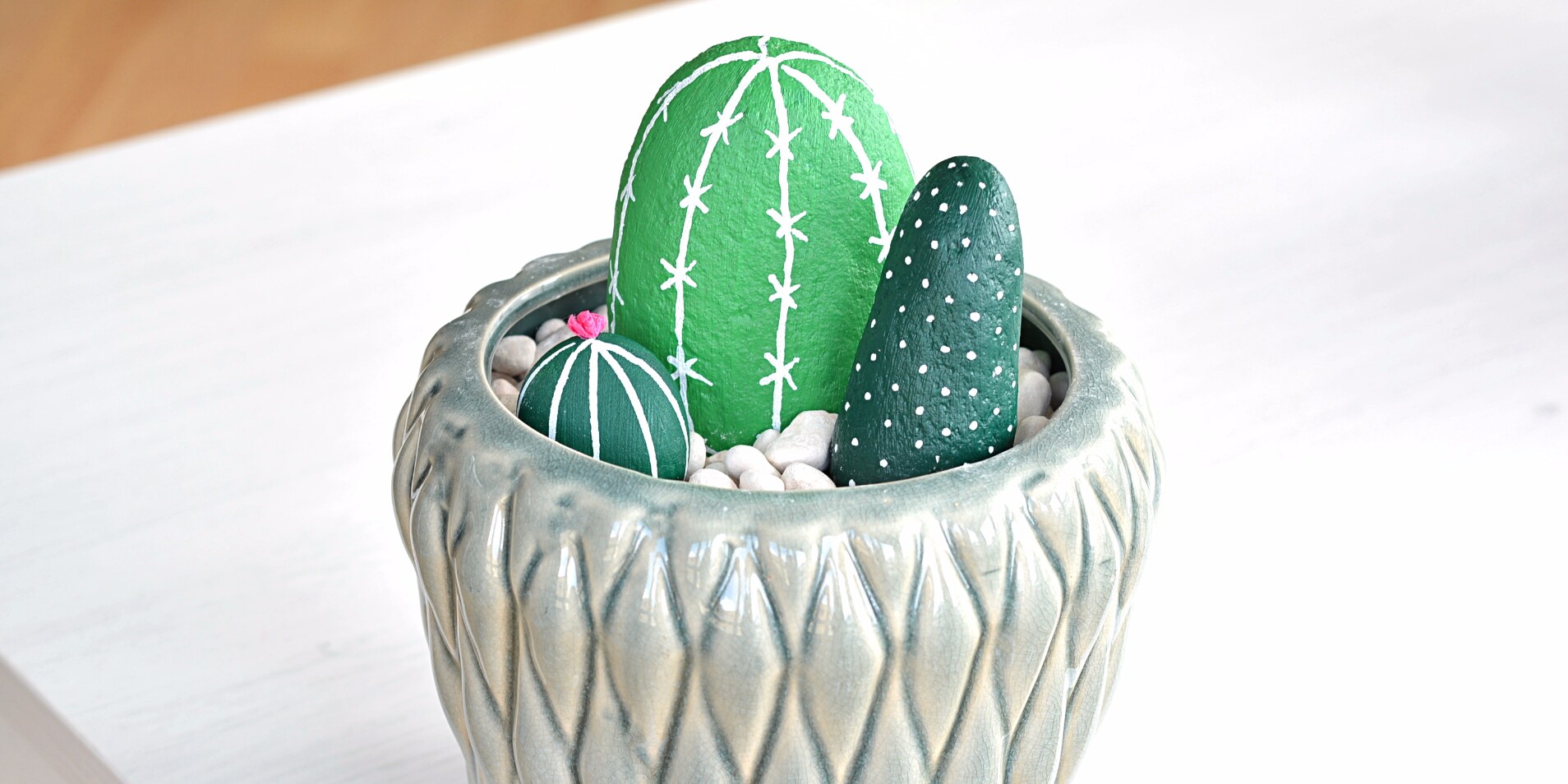 Do it yourself Kakteen für ungeschickte HobbyGärtner Galaxus