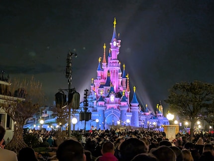Semplicemente troppe persone: decine di migliaia vogliono vedere lo spettacolo di luci e fuochi d'artificio ogni sera.