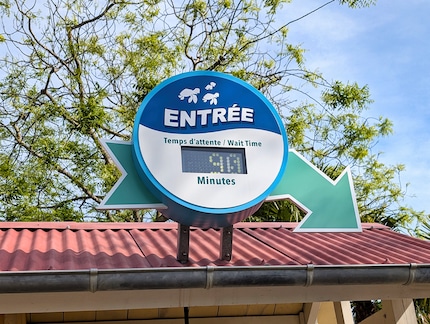 La giornata a Disneyland passa velocemente.