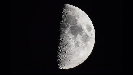 Zum Vergleich der Blick durch das teurere und stabilere NexStar 6SE: Dieser Schnappschuss wurde mit einem Google Pixel 3 gemacht.