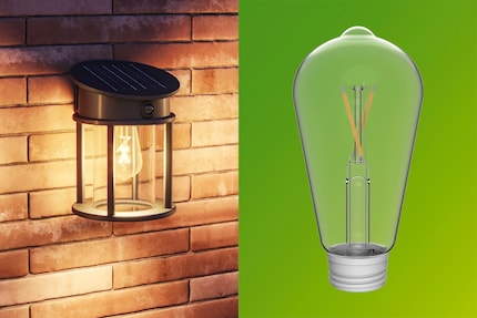 Only the special ST64 LED bulb fits in the lights.