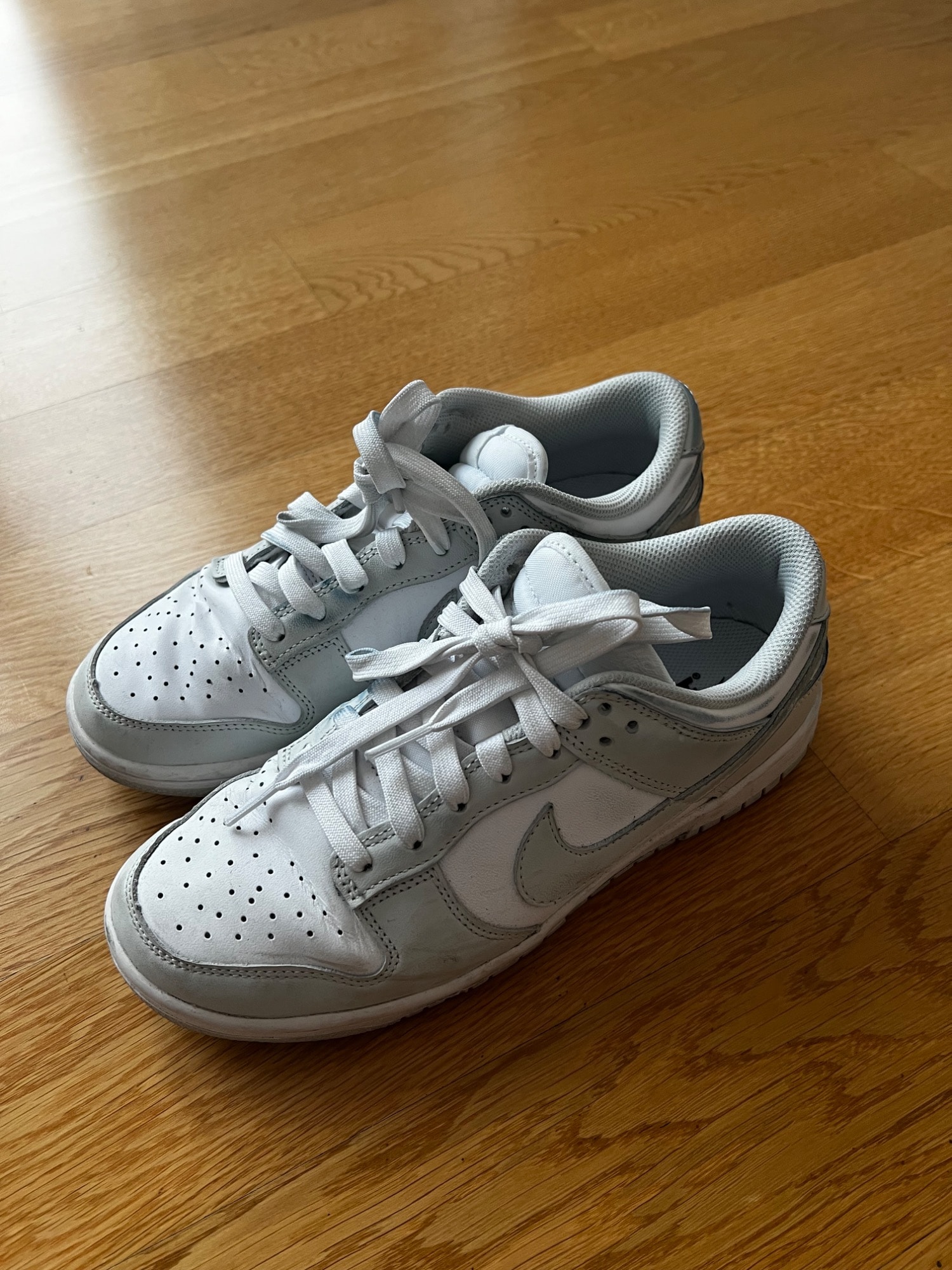 Image du produit Nike Dunk Low (38)