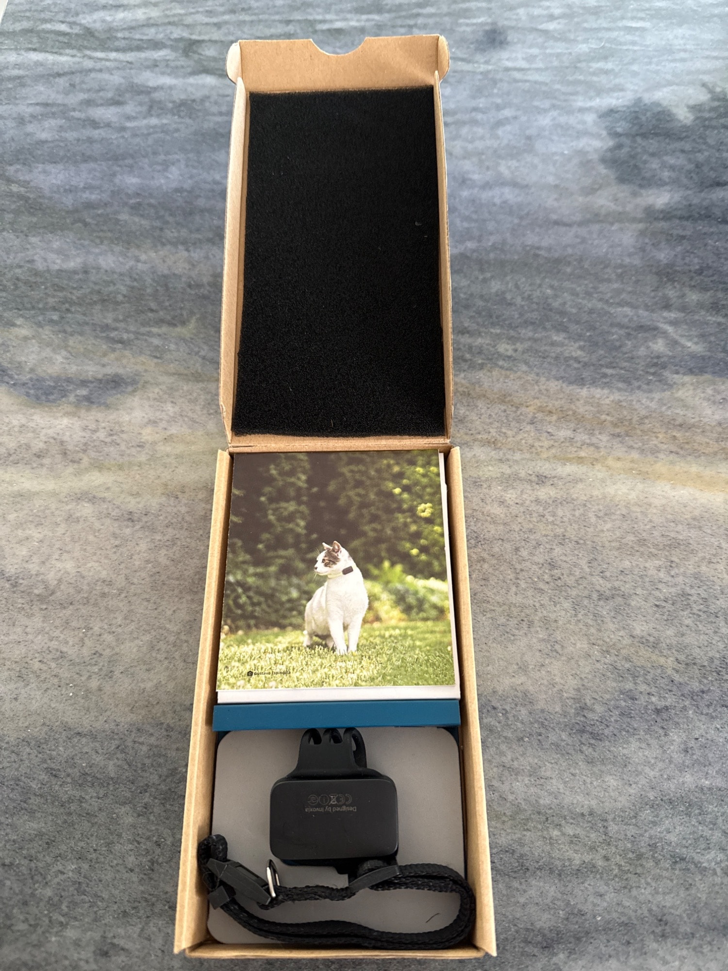 Image du produit Invoxia Pet GPS Tracker (Chien, Chat, Général)