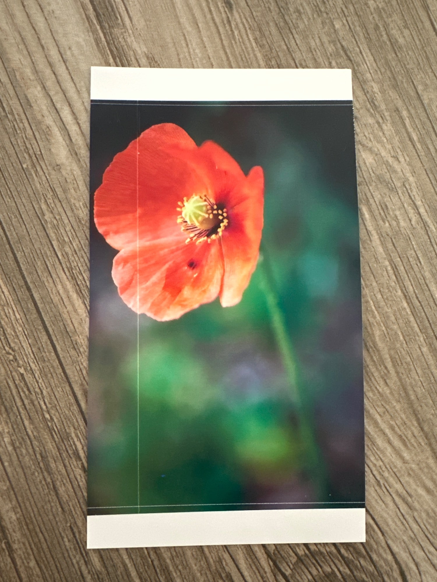 Image du produit Canon Selphy CP1300 (Thermodirecte, Couleur)