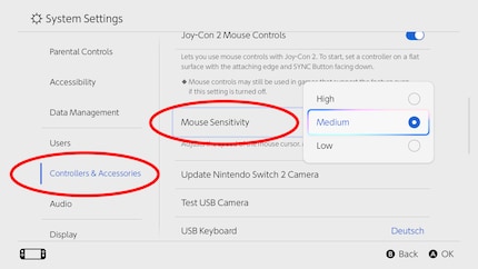 Du findest die Einstellung unter dem Menüpunkt Controller & Zubehör.