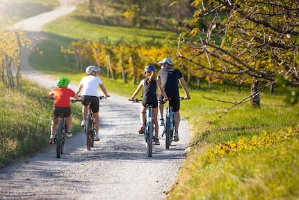 Famille en balade à vélo électrique : quelle est la meilleure règle pour la société ?