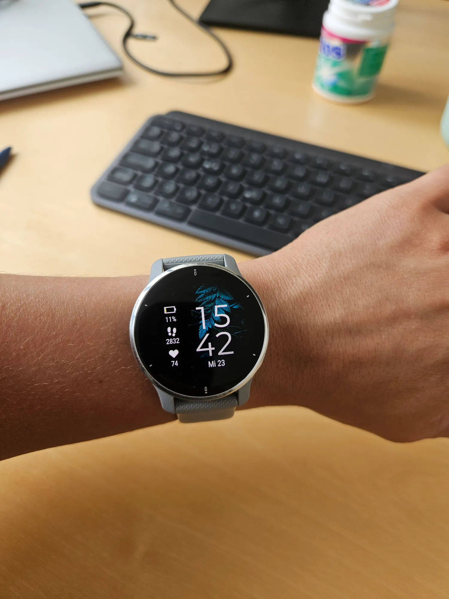 Produktbild Garmin Venu 2 Plus (43 mm)