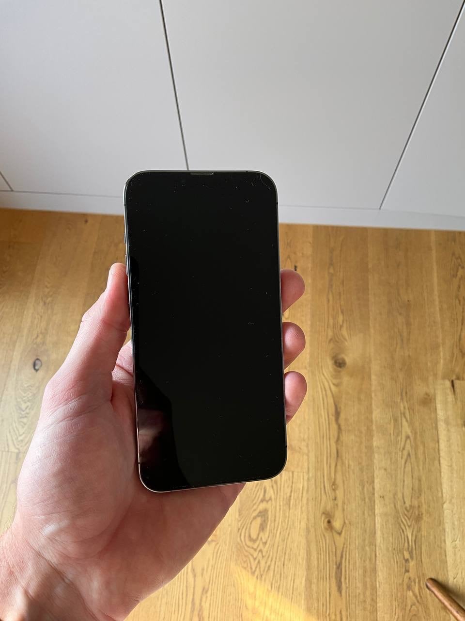 Actual product image Apple iPhone 13 Pro Max (1000 GB, Graphites, 6.70", SIM + eSIM, 12 Mpx, 5G)