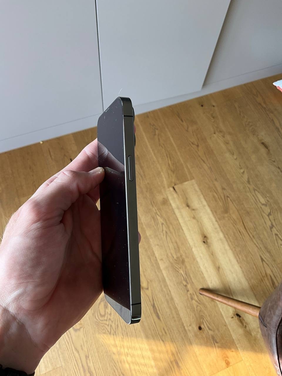 Actual product image Apple iPhone 13 Pro Max (1000 GB, Graphites, 6.70", SIM + eSIM, 12 Mpx, 5G)
