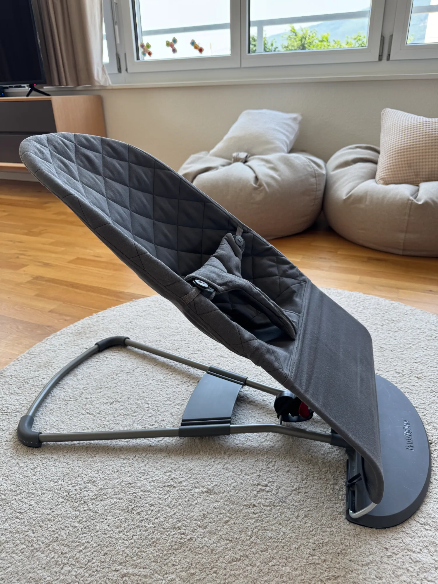 Image du produit BabyBjörn Bliss