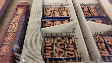 Massentierhaltung im Massstab 1:87. In einer Sonderausstellung sind auch kritische Szenen abgebildet.