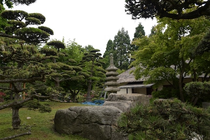 Grün in Grün in Grün: Im Japangarten wirkt alles farblich harmonisch.