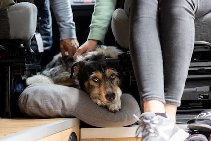 Ari in seinem rollenden Zuhause: dem Camper.