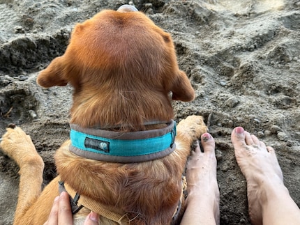 Und irgendwo singt Howard Carpendale gerade «Deine Spuren im Sand».