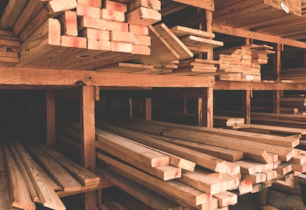 Frisch gesägtes Holz. Riechst du es auch?