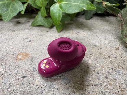 The tips are relatively large and offer a protective grille against earwax.