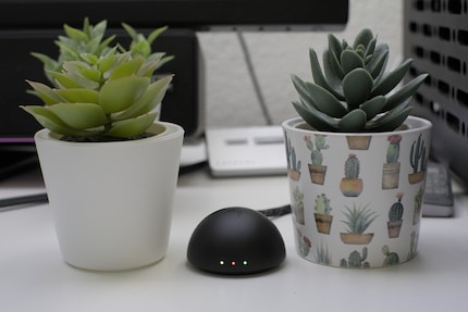 Den 8K-Hertz-Dongle, dessen LEDs ich konfigurieren kann, damit sie mir unterschiedliche Infos anzeigen, gibt es dieses Mal dazu.