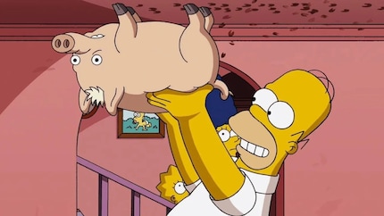 Homer soulève le cochon-araignée : une scène absurde qui a marqué l'histoire des Simpson.