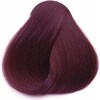 Schwarzkopf Professional Igora Vibrance (5-99 Marron clair Violet extra violet clair)