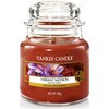 Yankee Candle Small Jar (104 g)