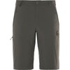 Mammut Runbold Shorts (44)