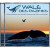 Wale Des Pazifiks