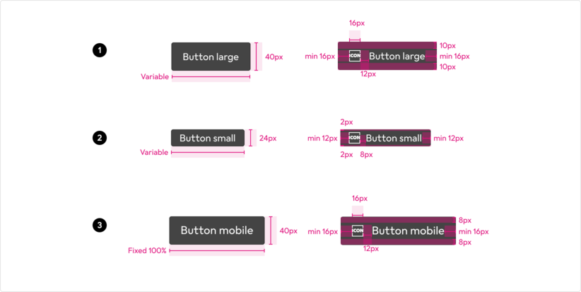 anatomy-button