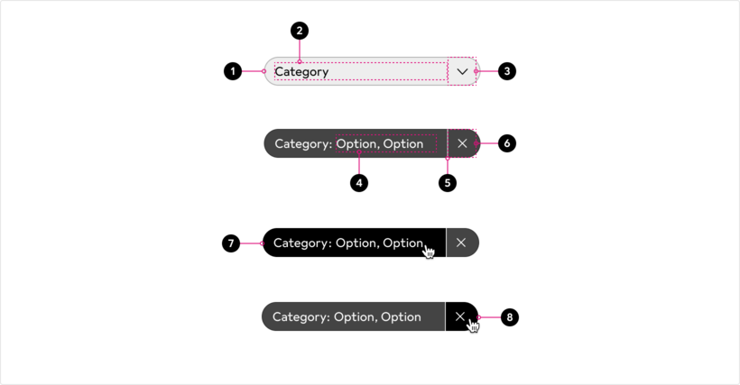 anatomy-multi
