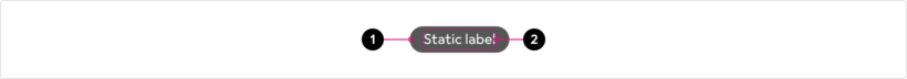 anatomy-static
