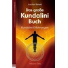 The great Kundalini book (Joachim Reinelt, German)