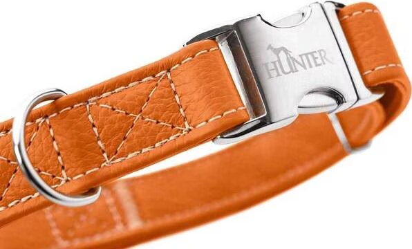 Hunter Collier Cannes Alu-Strong (Chien, Sport canin), Collier + laisse
