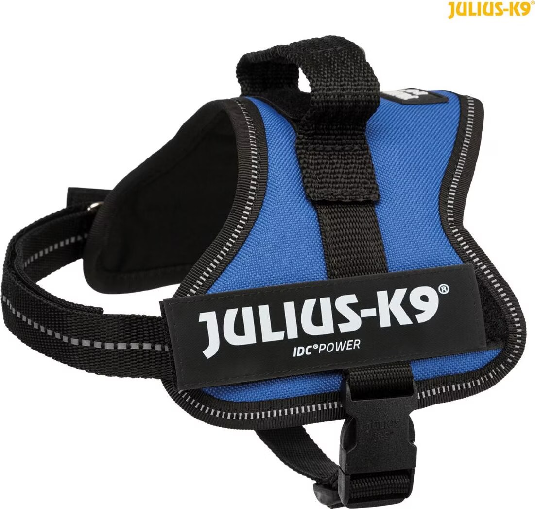 Harnais Power Julius-K9 Bleu S 40 à  53 cm