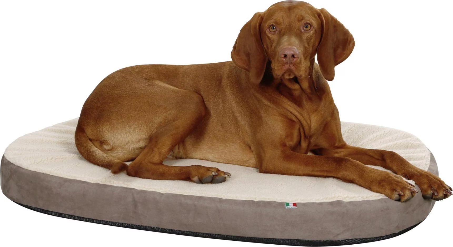 Kerbl Matelas en mousse à mémoire de forme 120x72 cm Beige et gris 80334