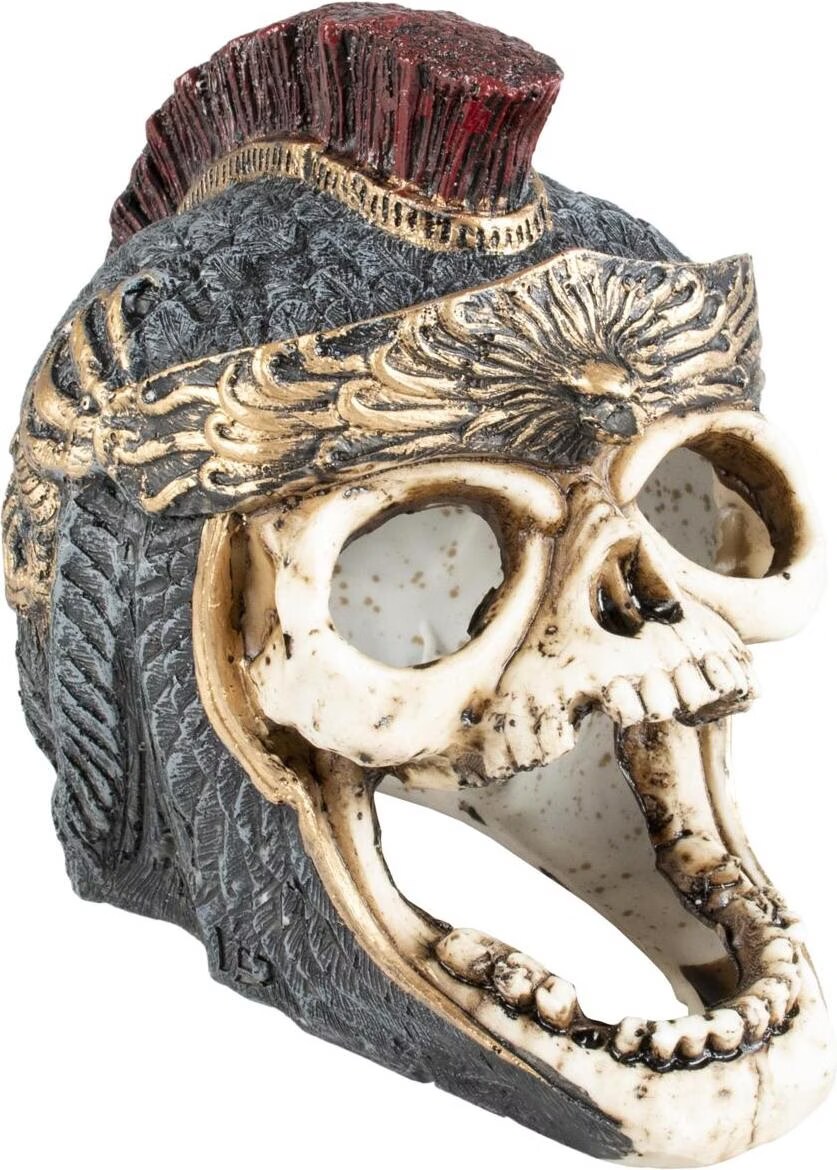 Meilleurs prix pour EBI Roman Aqua Della Skull (autres lments), Dcoration d'aquarium