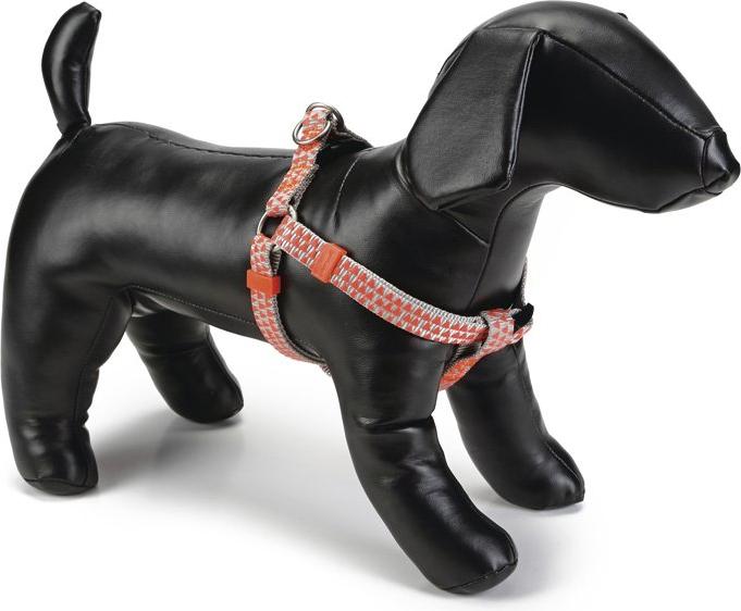 Comparer les prix de Beeztees BZ NY GESCH TRIAN HEGRAU 46-75 (Chien, Gnral), Collier + laisse