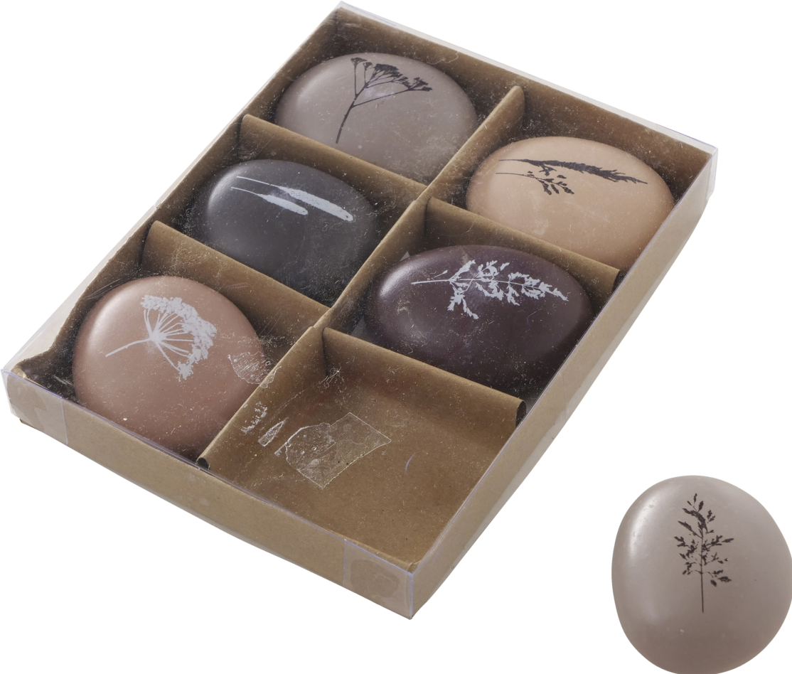 Boltze Home Gräser kaufen
