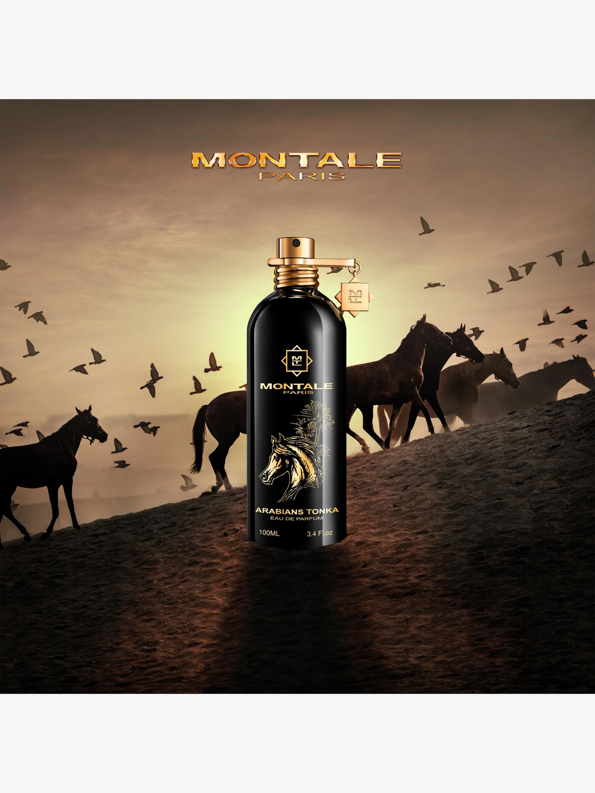 Montale Arabians Tonka Eau de Parfum 100 ml kaufen bei Galaxus